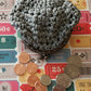 Crocheted Coin Purse